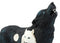 Shadow Moon Snow Native Tribal Howling Wolf Totem Spirit Figurine 6.25"L