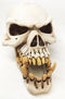 Ebros Large Dragon Demon Skull Skeleton Figurine 9.5" Long Novelty Halloween Decor