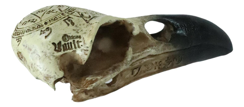 Ebros Pentagram Omega Alchemy Raven Crow Skull Figurine with Carved Rune Symbols