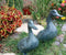 Ebros Gift Large Verdi Green Aluminum Two Lover Pond Ducks Garden Statue Set