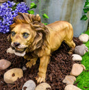 Realistic African Lion King Of The Jungle Growling And Baring Teeth Statue 16"L