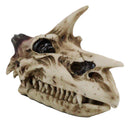 Fossil Skull Smog Fire Breath Horned Dragon Incense Holder Burner Figurine Box