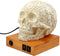 Ebros Day of The Dead Floral Skull Side Table LED Night Light Statue With Two USB Charging Dock On Wood Base
