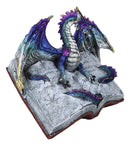Guardian Of Bibliography Purple Blue Dragon Emerging Out Of Spell Book Figurine