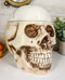 Ebros Large Ceramic Homosapien Jointed Human Skull Cookie Jar Figurine 9.25" L