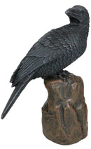 Large Dark Raven on Large Rock Platform Resin Statue Figurine 8" Height