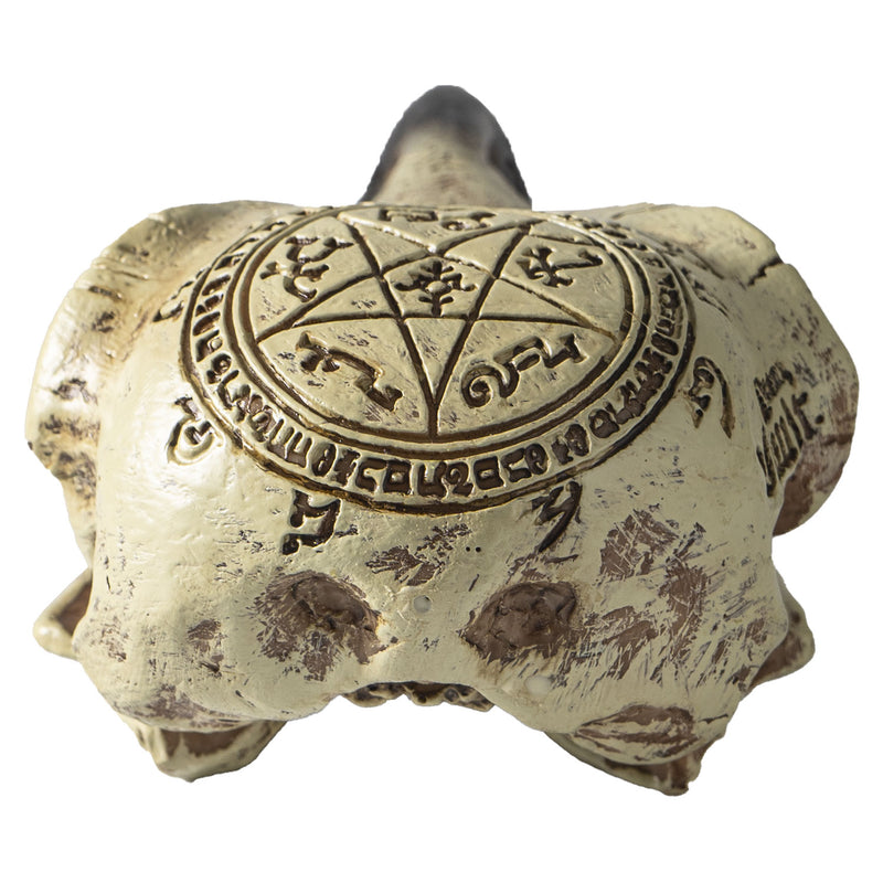 Ebros Pentagram Omega Alchemy Raven Crow Skull Figurine with Carved Rune Symbols