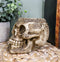 Day Of The Dead Celtic Tribal Tattoo Skull Pen Stationery Holder Figurine 4.5"L