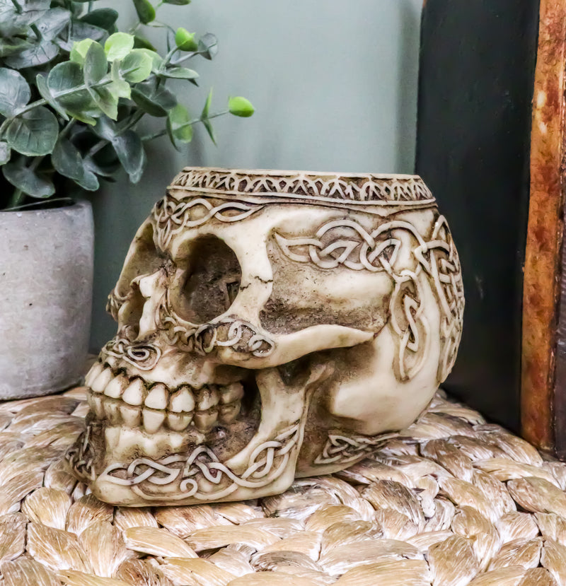 Day Of The Dead Celtic Tribal Tattoo Skull Pen Stationery Holder Figurine 4.5"L