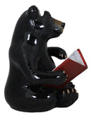 Rustic Western Whimsical Forest Black Bear Sitting and Reading A Book Figurine