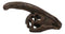 Faux Taxidermy Replica Parasaurolophus Dinosaur Head Fossil Small Skull Figurine
