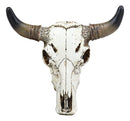 Western Aged White Steer Bison Buffalo Bull Cow Horned Skull Head Wall Decor - Ebros Gift