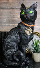 Wicca Witchcraft Green Eyed Moon Black Cat With Pentagram Necklace Figurine