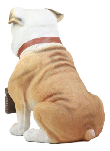 Realistic Large English Bulldog Welcome Statue 12"Tall Adorable Sitting Bulldog