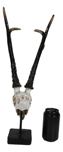 Large 19"H Rustic African Gazelle Antelope Bust Head Sculpture With Trophy Base