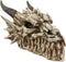 Ebros 9" L Grinning Fossil Bone Skeleton Dragon Skull 'Stryker' Decorative Box