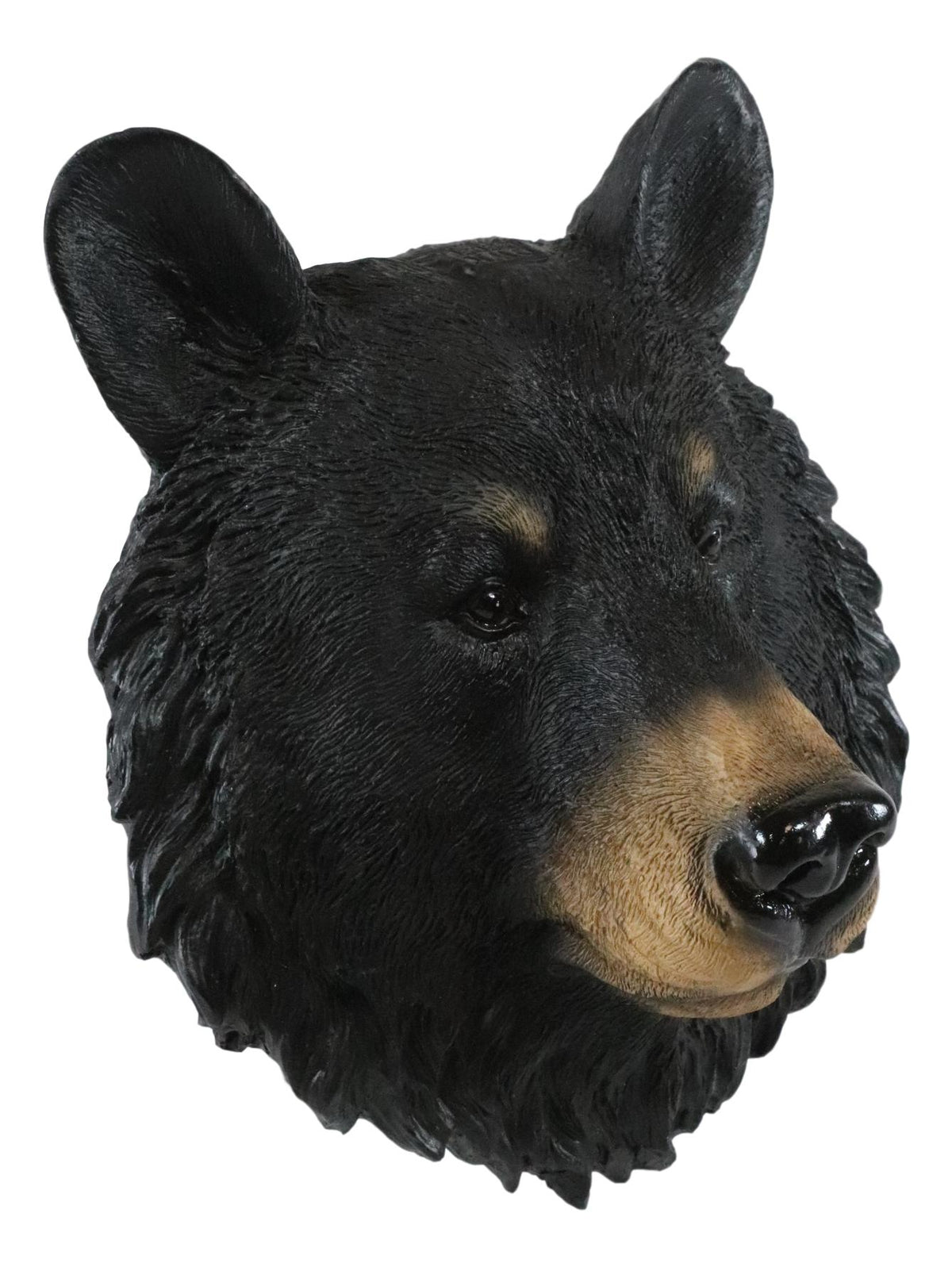 Ebros Gift The Brave Black Bear Head Wall Decor Plaque 8"H Wall Decor Plaque - Ebros Gift