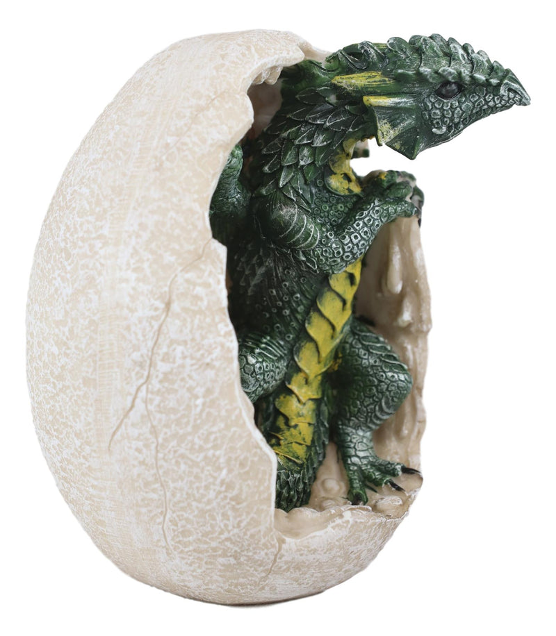 Ebros Green Earth Dragon Hatchling Breaking Out of Egg Shell Figurine 5" H