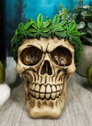 Pot Head Skull Statue 6"Long Gothic Skull With Weed Leaf Laurel Resin Figurine
