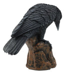 Perching Raven On Rock Statue 5" Tall Gothic Crow Scavenger Bird Decor Figurine