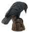 Perching Raven On Rock Statue 5" Tall Gothic Crow Scavenger Bird Decor Figurine