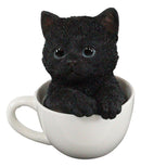 Lifelike Adorable Black Kitten Cat in White Tea Cup Pet Pal Figurine 5.75" Tall