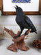 Ebros Crowing Raven Perched On Tree Branch 8.25" Tall Scavenger Bird Figurine