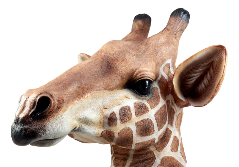 Ebros Safari Giraffe Head Trophy Taxidermy Wall Decor Sculpture Hanging Plaque