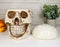 Ebros Large Ceramic Homosapien Jointed Human Skull Cookie Jar Figurine 9.25" L