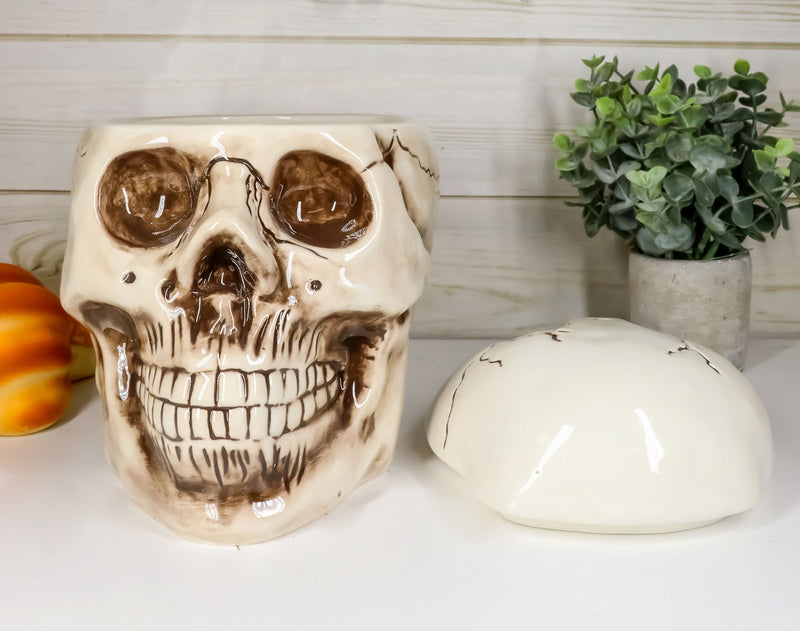 Ebros Large Ceramic Homosapien Jointed Human Skull Cookie Jar Figurine 9.25" L