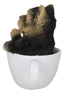 Ebros Realistic Mini Yorkie Teacup Statue 3" Pet Pal Yorkshire Terrier Dog Figurine