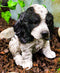 Ebros Lifelike Pet Pal English Cocker Spaniel Dog Puppy Sitting Figurine 5.75"H