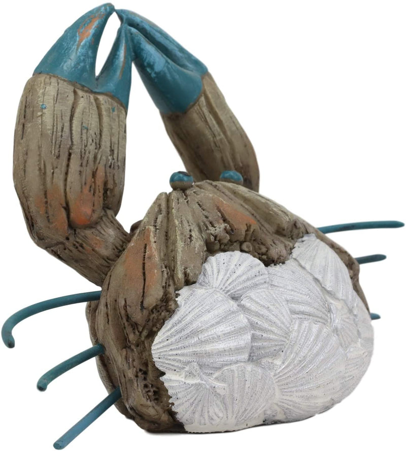 Ebros Ocean Marine Pincer Crab with Sea Shells Resin Decorative Figurine 7.25" L