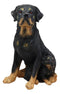 Ebros Lifelike Realistic Sitting Rottie Rottweiler Dog Statue 11.5" Wide Fine Pedigree Butcher's Dogs Breed Gallery Quality Collectible Decor with Glass Eyes Figurine