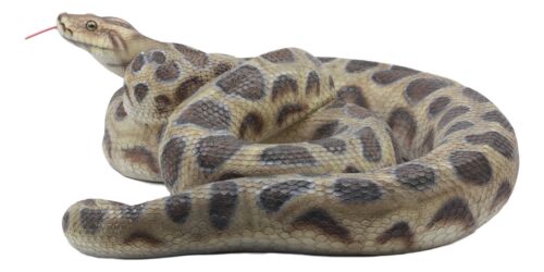 Large Lifelike Python Statue Realistic Snake Taxidermy 3D Figurine 17 ...