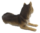 Ebros Alpha Gray Wolf Family Figurine 9.75"L Timber Wolf Mother Resting With Pups