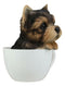 Realistic Adorable Yorkie Dog in Teacup Statue 6"H Pet Pal Yorkshire Terrier