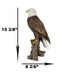 American Pride National Emblem Bald Eagle Statue 16.5"H Independence Day Glory