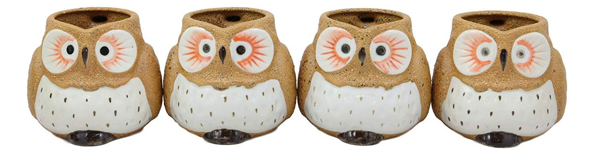 Ebros Gift Whimsical Woody Forest Big Eyed Brown Owl Ceramic 11oz Drinking Mugs Set of 4 As Kitchen Dining Home Decor Of Owls Owlet Nocturnal Bird Novelty Mug Cups For Coffee Tea Milk Beverage