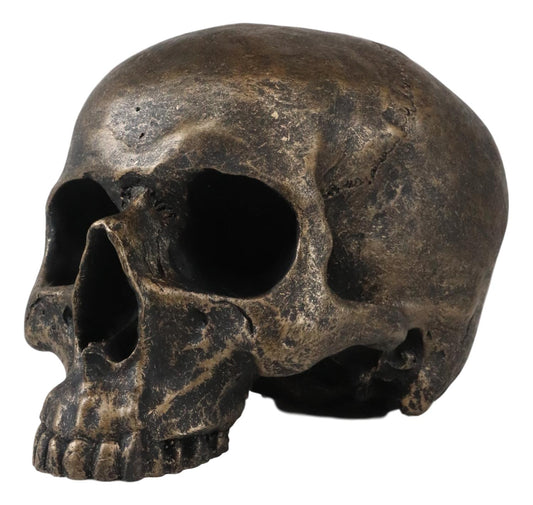 Ebros Pirate Treasure Relic Gold Rust Severed Upper Half Skull Figurine Statue