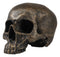 Ebros Pirate Treasure Relic Gold Rust Severed Upper Half Skull Figurine Statue