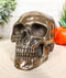 Ebros Bronzed Homosapien Skull Figurine 4.5"L Miniature Halloween Collectible
