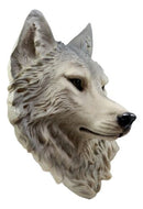 Large Gray Timber Wolf Head Wall Decor Plaque 16.5"Tall Taxidermy Art Decor