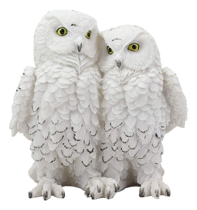 Ebros Mystical Two Snow White Owls Couple Statue 7.25"Tall Whimsical Figurine