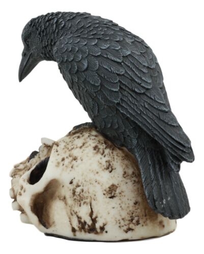 Foreboding Dark Crow Raven On Skull Statue 5"Tall Ossuary Scavenger Raven Bird