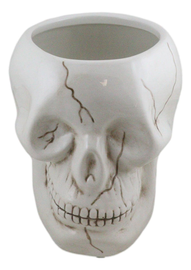 Ceramic Spooky Jointed Homosapien Human Skull Cereal Treat Soup Bowl 32oz