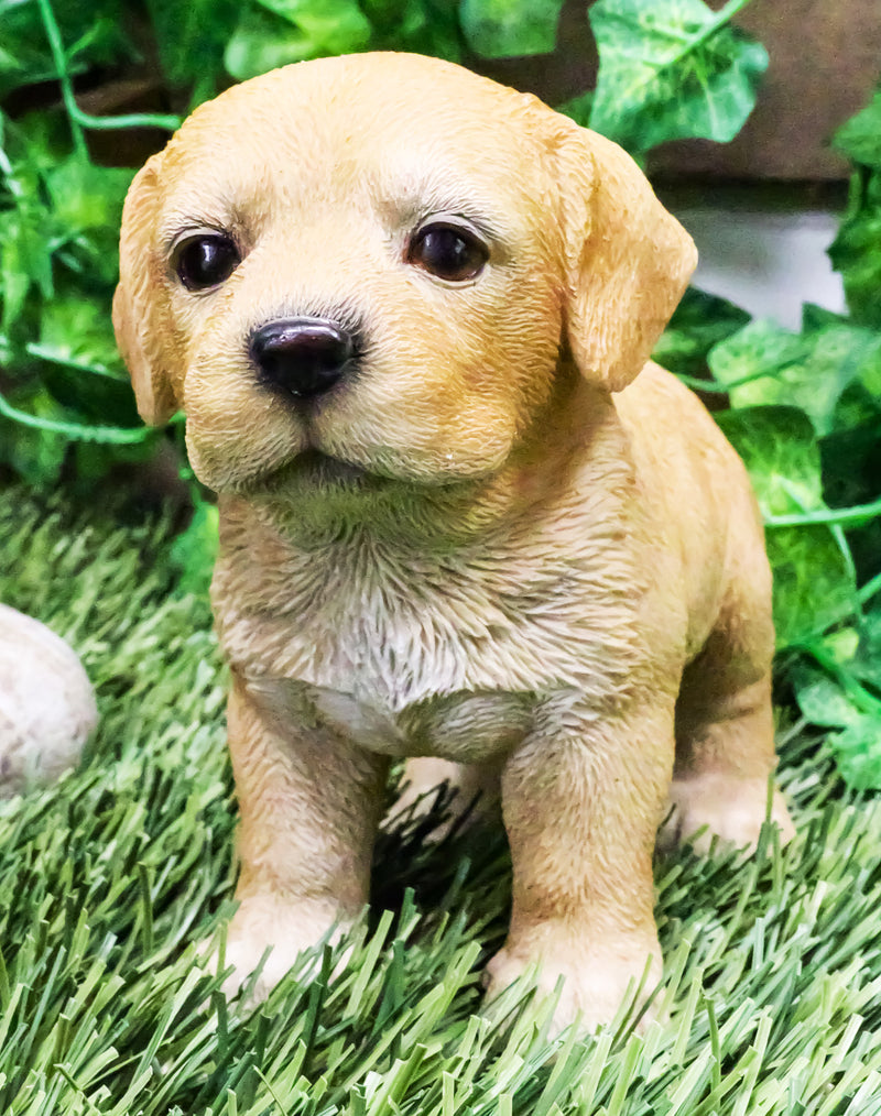 Adorable Labrador Puppy Dog with Begging Glass Eyes Figurine Pet Pal Animal Art