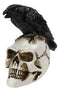 Ossuary Macabre Harbinger Of Doom Black Raven Crow Bird On Skull Mini Figurine