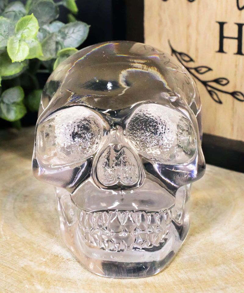 Ebros Small Clear Translucent Witching Hour Gazing Skull Acrylic Resin Cranium