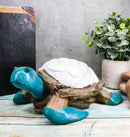 Nautical Sea Turtle With White Clam Shells In Faux Distressed Wood Finish Statue
